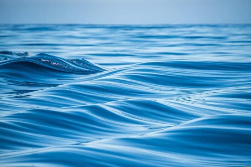 Coral Bay: Full Day Ningaloo Reef with Manta Rays Tour - Key Points