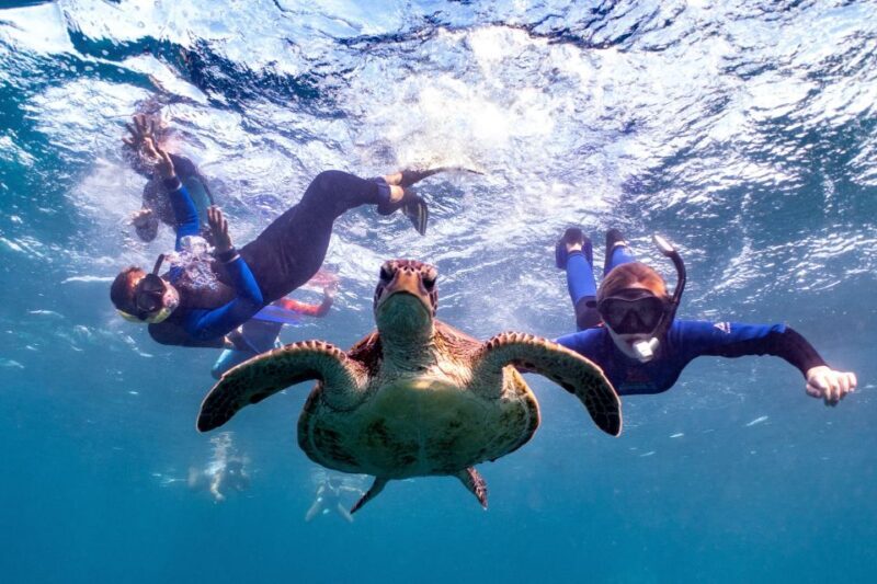 Coral Bay: Marine Eco Safari - Swim With Manta Rays - Exploring the Itinerary