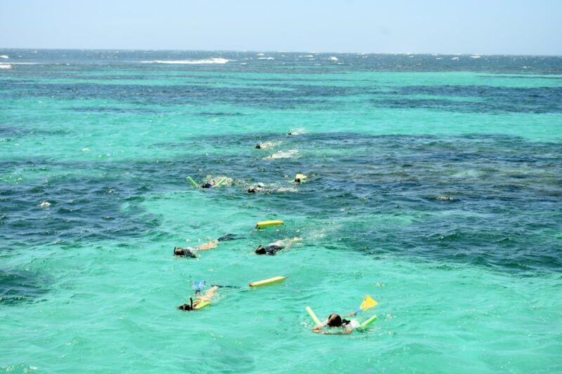 Coral Bay: Ningaloo Reef 3-Hour Turtle Ecotour - Introduction to the Tour Experience