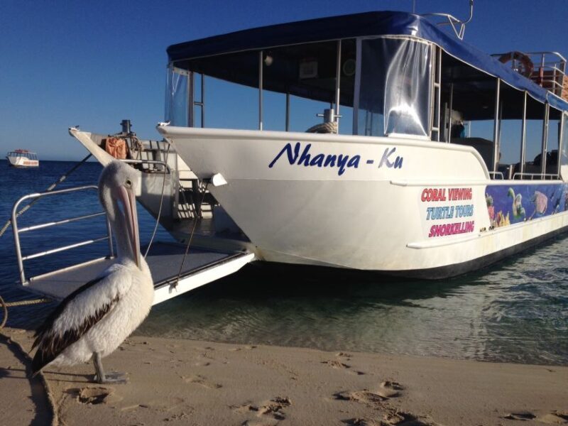 Coral Bay: Ningaloo Reef 3-Hour Turtle Ecotour - The Itinerary Breakdown
