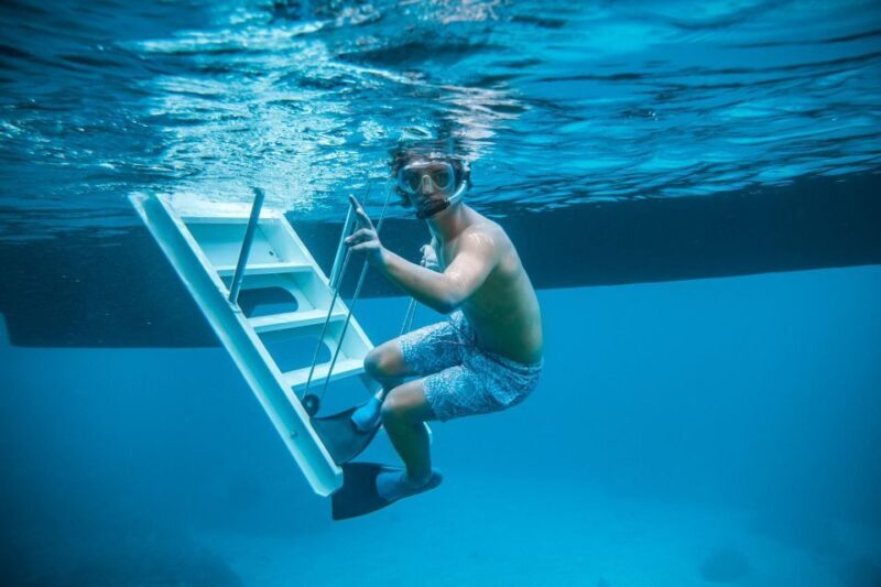 Coral Gardens Snorkel & Whale Watch - Who Should Consider This Tour?
