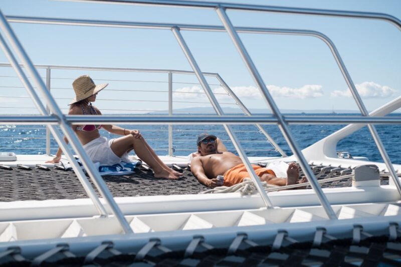 Coral Gardens Snorkel & Whale Watch - FAQ