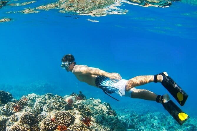 Coral Island Banana Beach Snorkeling and Clear Kayak Tour - Real Experiences: What Travelers Say