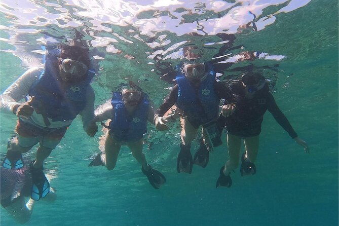 coral-reef-and-sea-turtle-snorkeling-experience