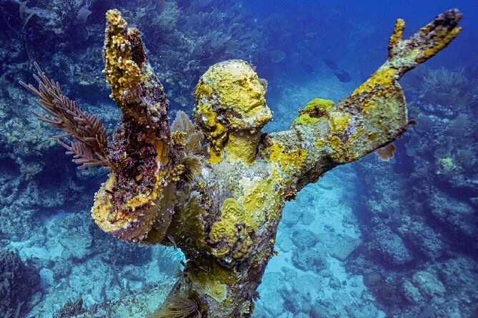 coral-reef-half-day-snorkel-trip