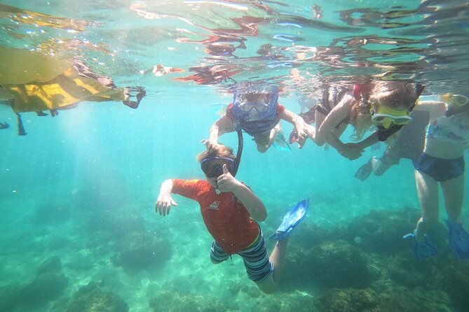 coral-reef-snorkel-adventure-with-photos-and-videos