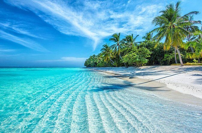 Coral Reef Snorkeling and Floating Bar Party from Nha Trang - FAQ