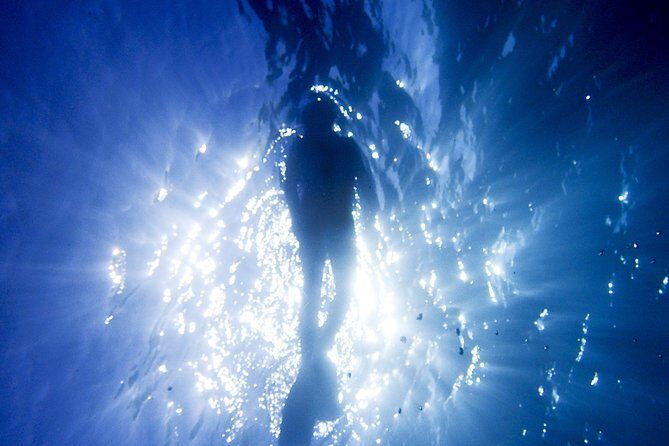 Coral Sea Dreaming Overnight Dive, Snorkel and Sail - Is It Worth the Price?