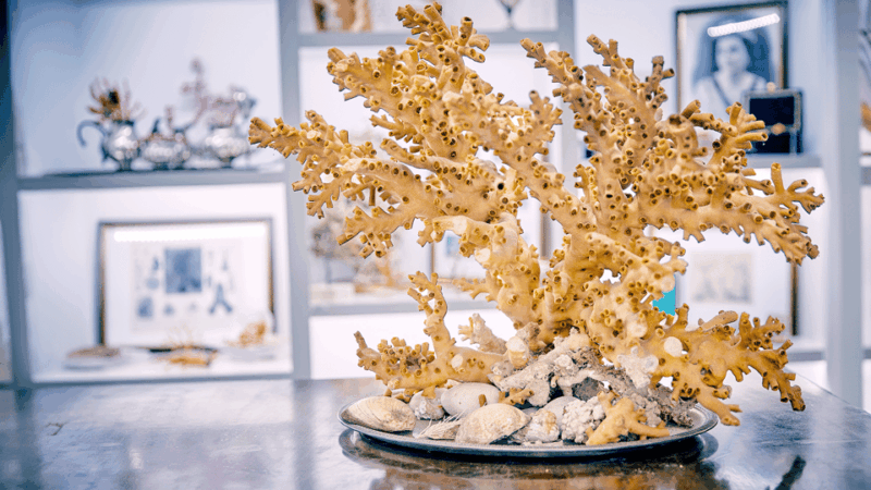 coral-workshop-and-visit-of-the-museum-in-sciacca