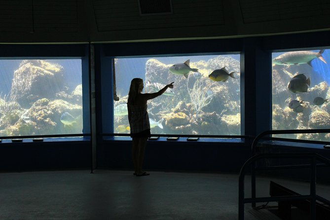 coral-world-ocean-park-general-admission-ticket