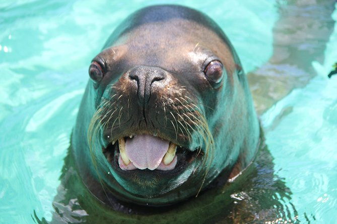 coral-world-ocean-park-general-admission-ticket