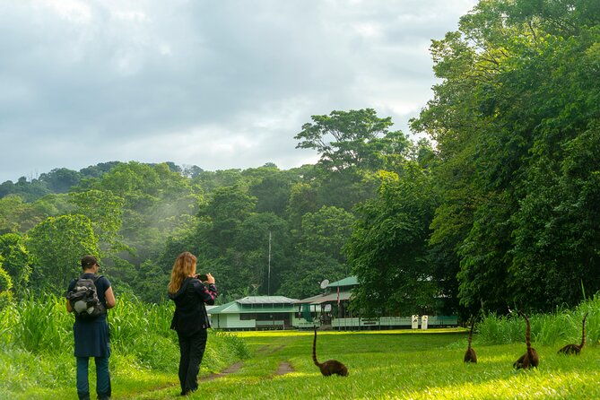 corcovado-and-drake-bay-2-day-small-group-safari-guided-tour