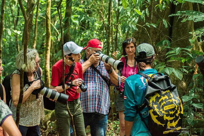corcovado-hiking-tour