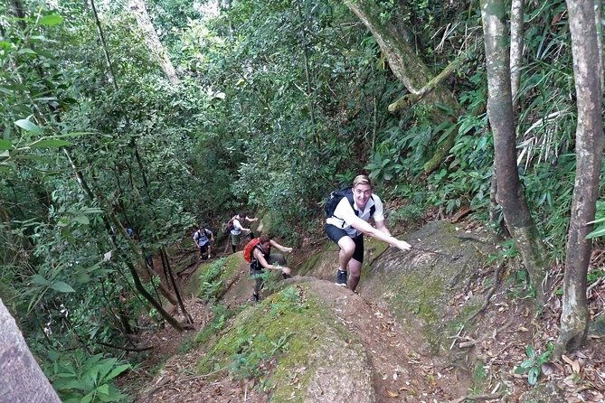 corcovado-hiking-tour-in-rio-de-janeiro