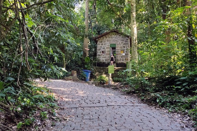 corcovado-hiking-tour-in-rio-de-janeiro
