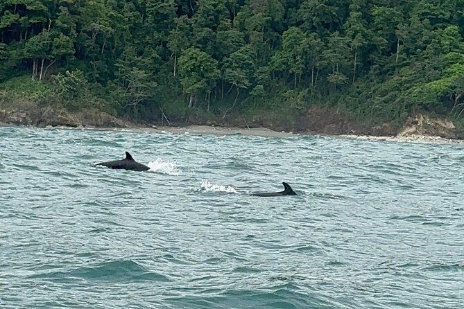 corcovado-national-park-day-tour-mermaid-and-leona-18km