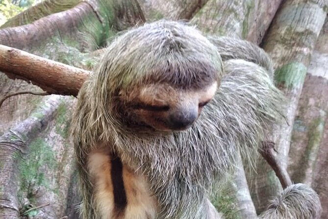 corcovado-national-park-hike-from-uvita