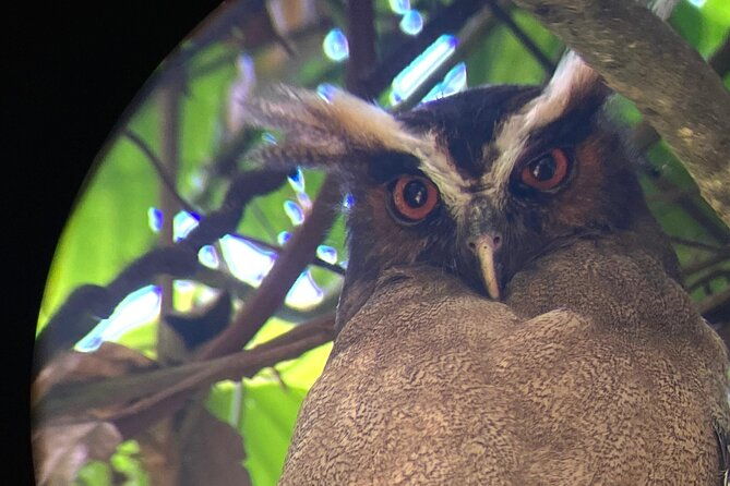 corcovado-national-park-san-pedrillo-station-from-uvita