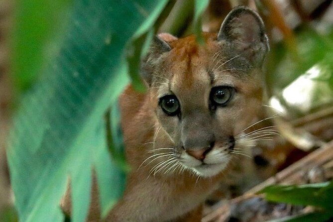 corcovado-national-park-san-pedrillo-station-from-uvita