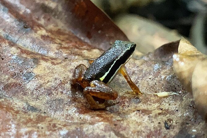 corcovado-national-park-san-pedrillo-station-from-uvita