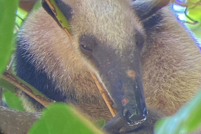 corcovado-national-park-san-pedrillo-station-from-uvita