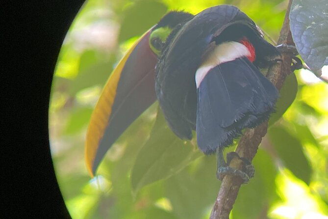 corcovado-national-park-san-pedrillo-station-from-uvita