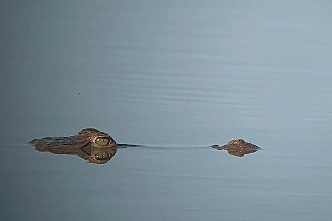 corcovado-national-park-sirena-day-tour-from-puerto-jimenez