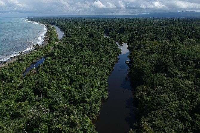 corcovado-siren-overnight-sleep-in-the-most-bio-intense-forest