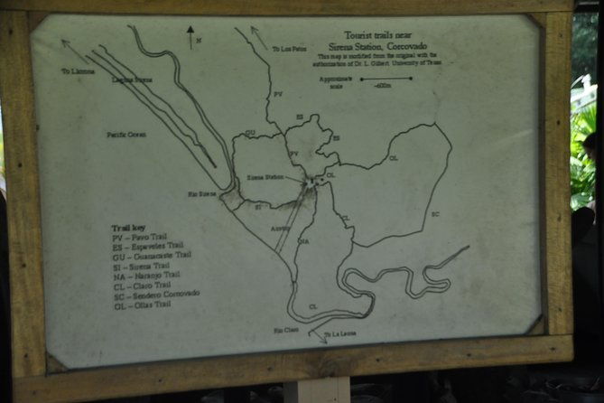 corcovado-siren-overnight-sleep-in-the-most-bio-intense-forest