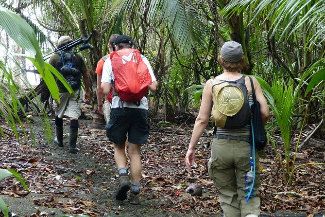 corcovado-sirena-station-overnight