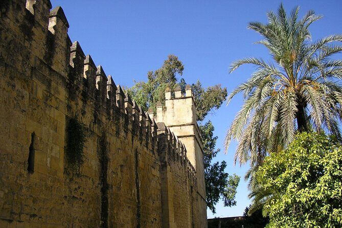Córdoba: Alcazar Skip the Line Guided Tour - A Closer Look at the Alcazar Guided Tour Experience