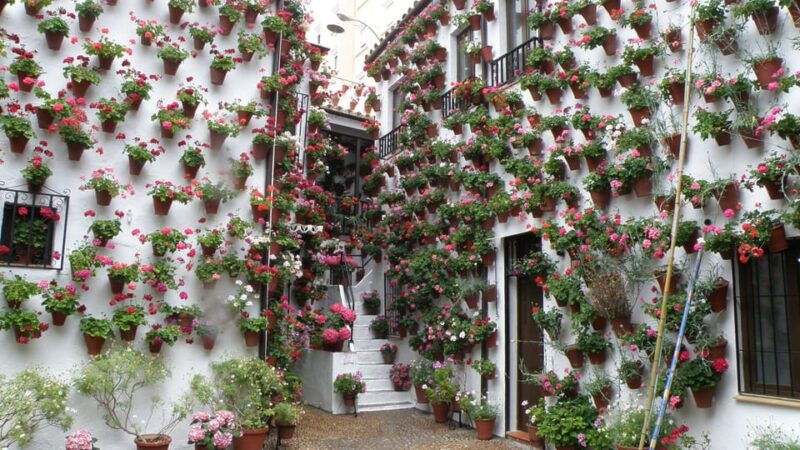 cordoba-courtyards-by-bike-electric-bike