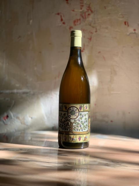 cordoba-discover-the-soul-of-spanish-natural-wine-cuisine