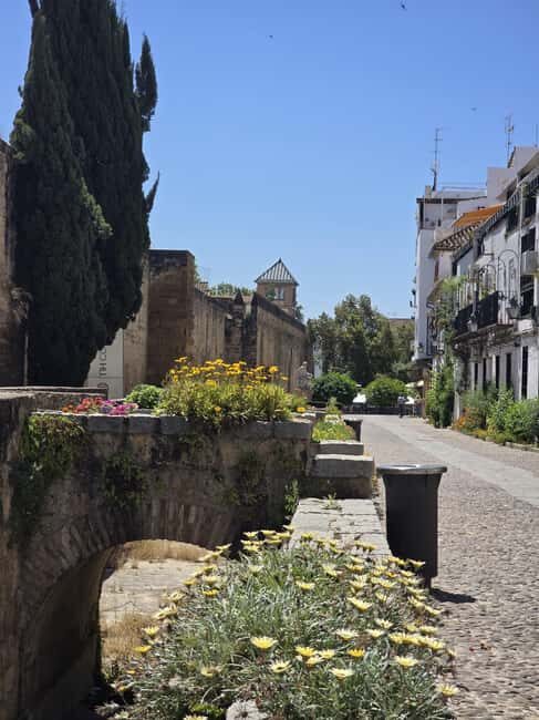 Córdoba: Entrance Ticket for the Fernandine Churches Route. - Why This Tour Is a Great Value