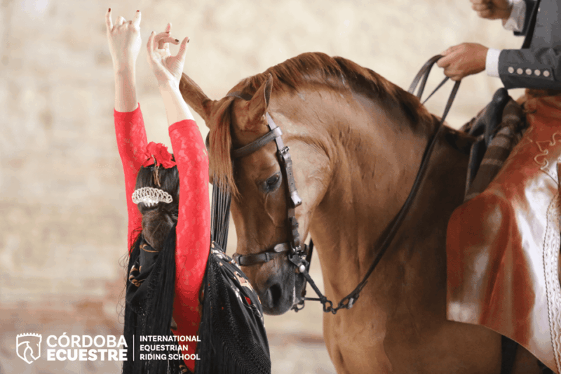 cordoba-equestrian-show-general-entry