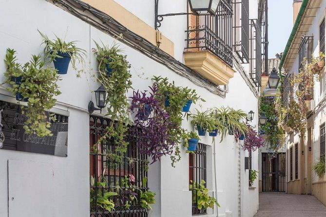 cordoba-full-day-trip-with-mosque-entrance-from-costa-del-sol