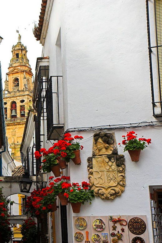 cordoba-guided-day-trip-from-seville