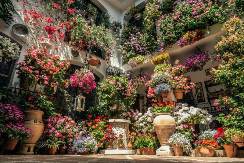 cordoba-guided-tour-of-the-patios