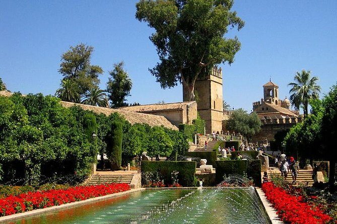 Cordoba Guided Tour with Mosque /Cathedral from Seville - What Travelers are Saying