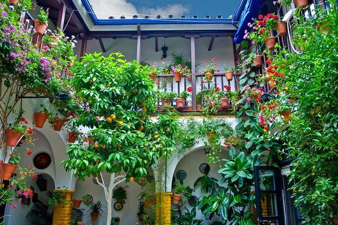 Cordoba Guided Tour with Mosque /Cathedral from Seville - Who Is This Tour Best For?
