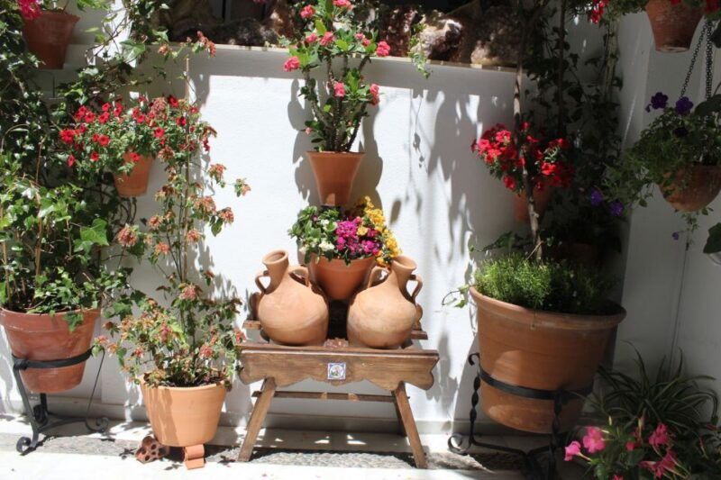 cordoba-highlights-full-day-tour-from-granada