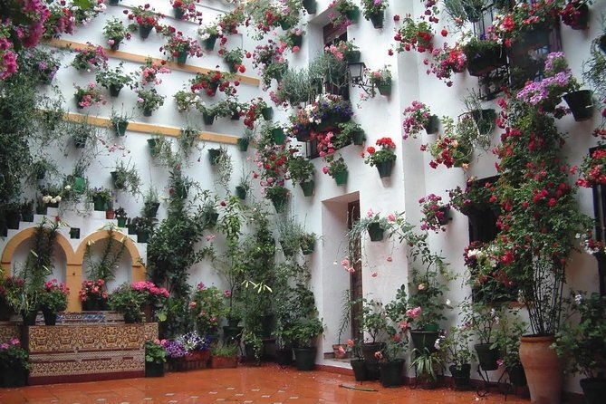 cordoba-highlights-guided-day-tour-from-seville