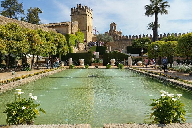 cordoba-highlights-guided-day-tour-from-seville