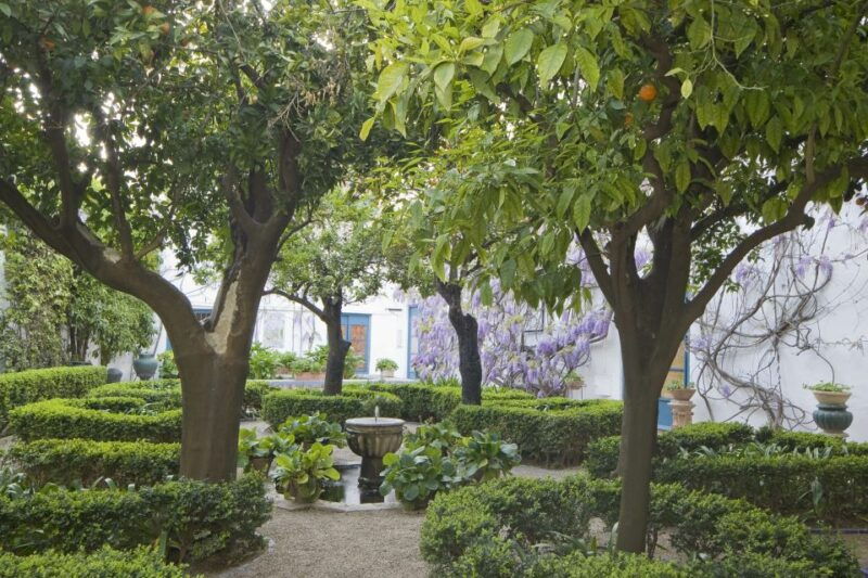 cordoba-viana-palace-gardens-and-patios-entry-ticket