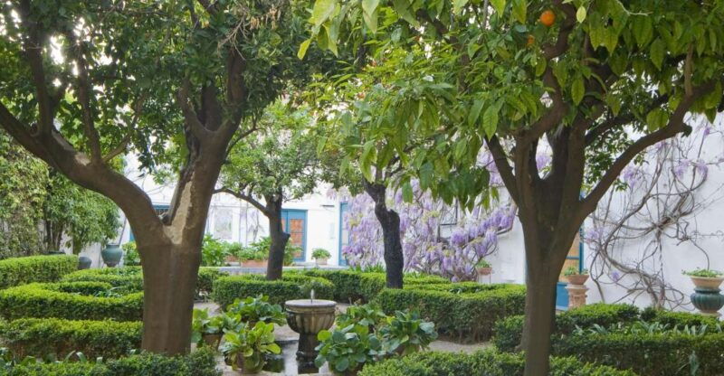 cordoba-viana-palace-gardens-and-patios-entry-ticket