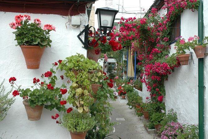 cordobas-authentic-patios-2-hour-tour-with-tickets-2