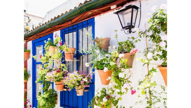 cordobas-authentic-patios-2-hour-tour-with-tickets-3