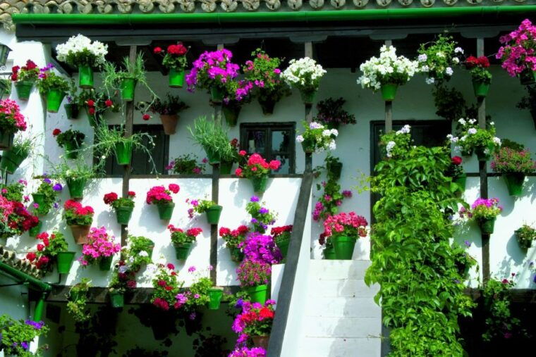 cordobas-authentic-patios-2-hour-tour-with-tickets-3