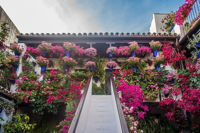 cordobas-authentic-patios-2-hour-tour-with-tickets