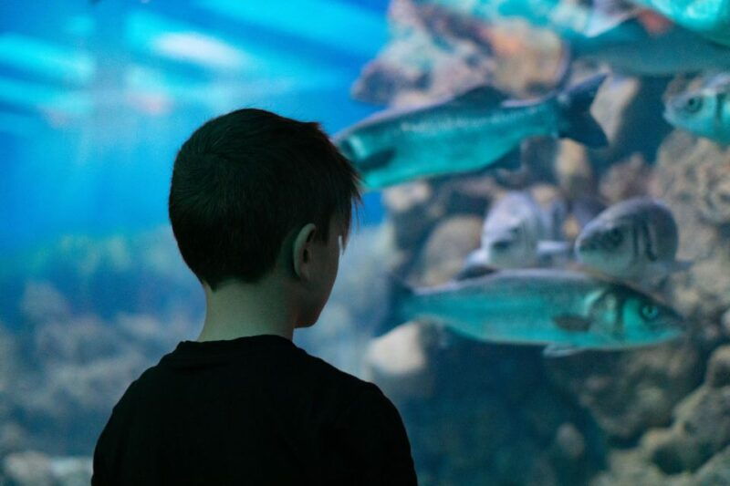 corfu-aquarium-entry-ticket-with-guided-tour